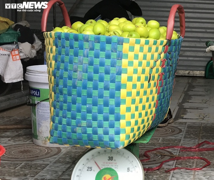 Đặc sản táo muối Hải Phòng 'cháy hàng', dân thu cả trăm triệu - 10