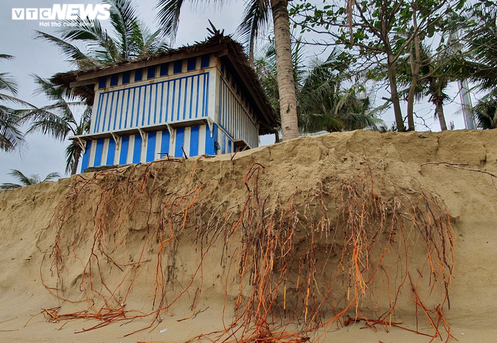 Bãi biển bị sóng nuốt chửng, Đà Nẵng cảnh báo nguy hiểm - 4