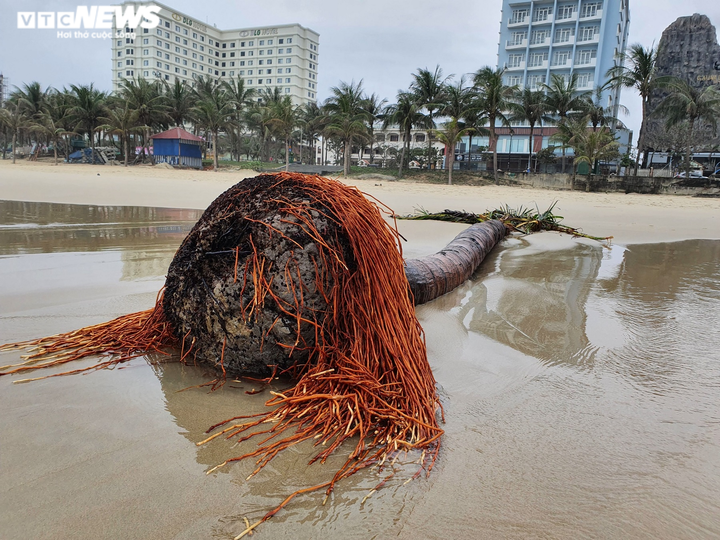 Bãi biển bị sóng nuốt chửng, Đà Nẵng cảnh báo nguy hiểm - 5