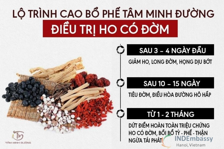 Nguyên nhân, triệu chứng, cách chữa bệnh ho có đờm - 3