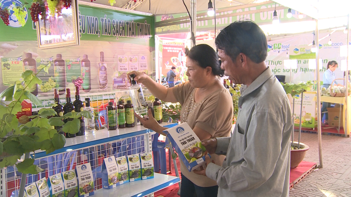 Chương trình OCOP: Điểm sáng của ngành nông nghiệp Ninh Thuận - 4