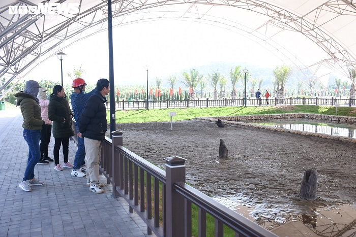 Du khách nườm nượp tham quan bãi cọc gần nghìn năm tuổi ngày đầu năm mới 2021 - 3