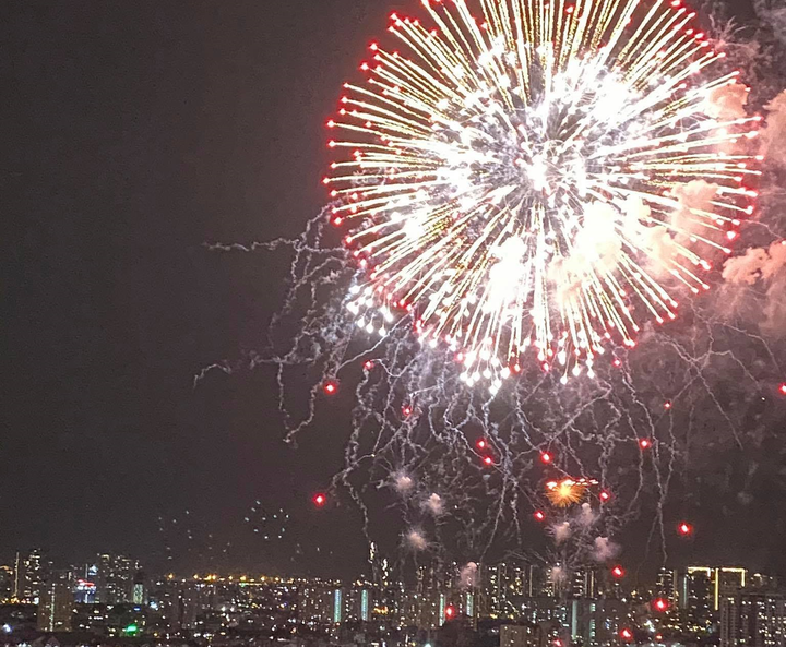 Thế giới chào đón năm mới 2021 - 1