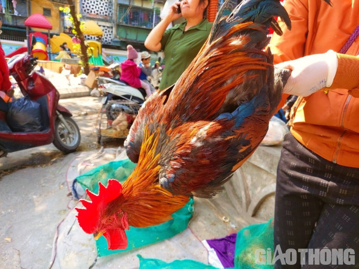  Nghỉ Tết dương lịch: Giá thịt lợn, gà đua nhau 'nhảy múa' - 1