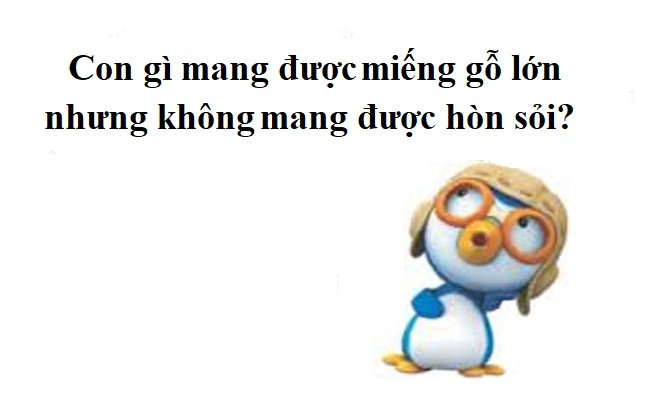 Con gì mang được miếng gỗ lớn nhưng không mang được hòn sỏi? - 1