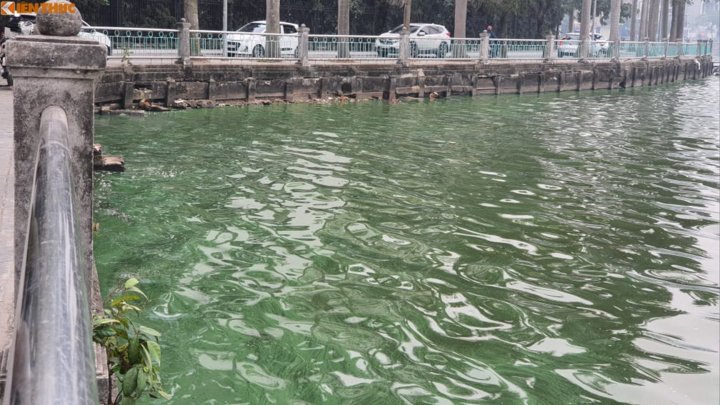 Nước hồ Tây chuyển màu xanh bất thường, người dân lo lắng - 1