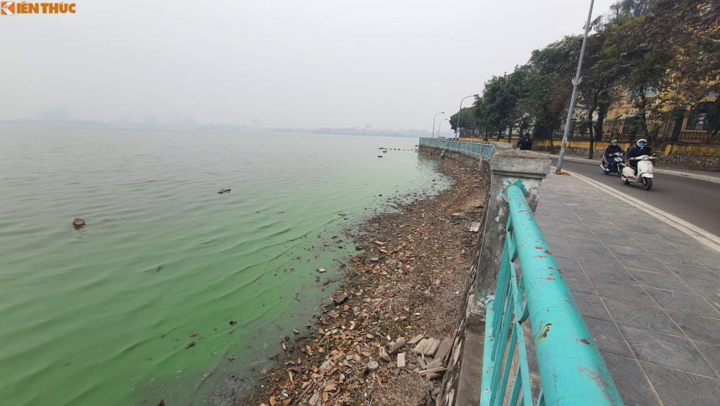 Nước hồ Tây chuyển màu xanh bất thường, người dân lo lắng - 5