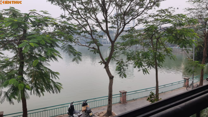 Nước hồ Tây chuyển màu xanh bất thường, người dân lo lắng - 7