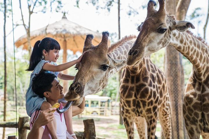 Kỳ nghỉ trọn gói du xuân từ Vinpearl và Bamboo Airways - 11