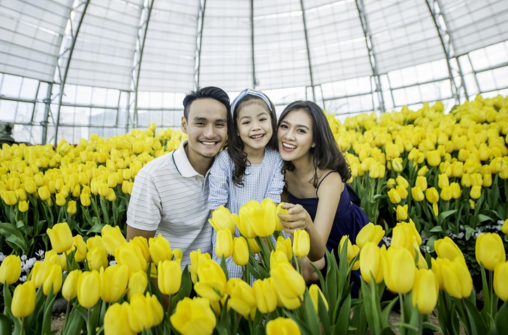 Kỳ nghỉ trọn gói du xuân từ Vinpearl và Bamboo Airways - 4