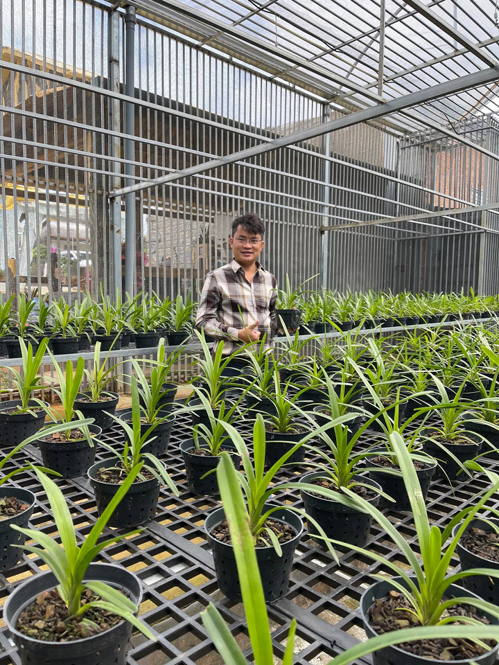 Đàm Rồng Nghệ – chàng trai 8X bỏ kinh doanh để nuôi trồng hoa lan - 2