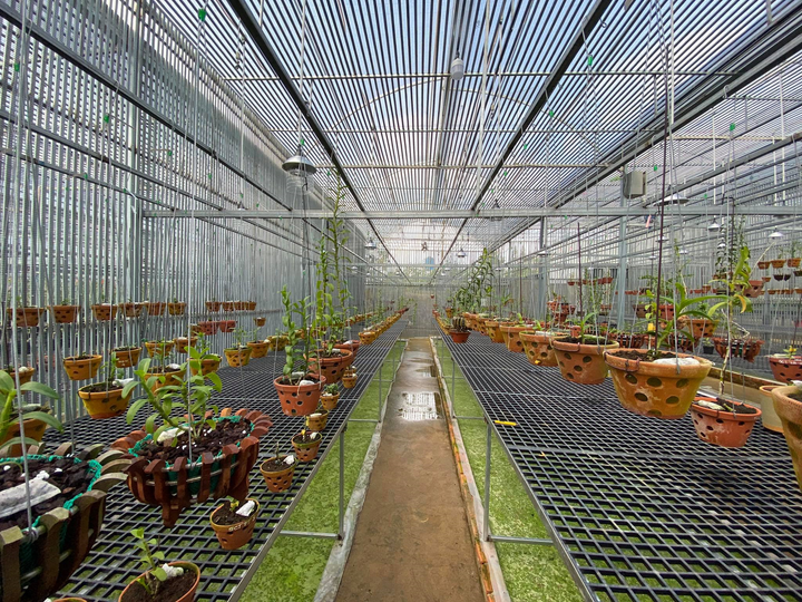 Đàm Rồng Nghệ – chàng trai 8X bỏ kinh doanh để nuôi trồng hoa lan - 4