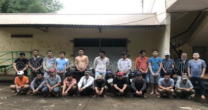 Bắt 22 con bạc đang đá gà trong vườn điều ở Đồng Nai - 1