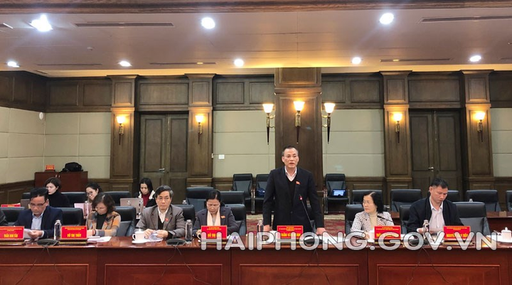 Hải Phòng không chấp nhận những dự án không đảm bảo các điều kiện về môi trường - 2