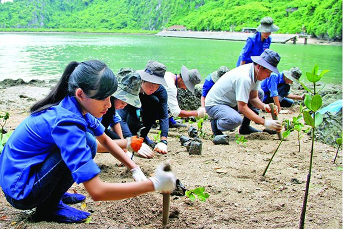 Học sinh, sinh viên có thể làm gì để giảm thiểu biến đổi khí hậu? - 2