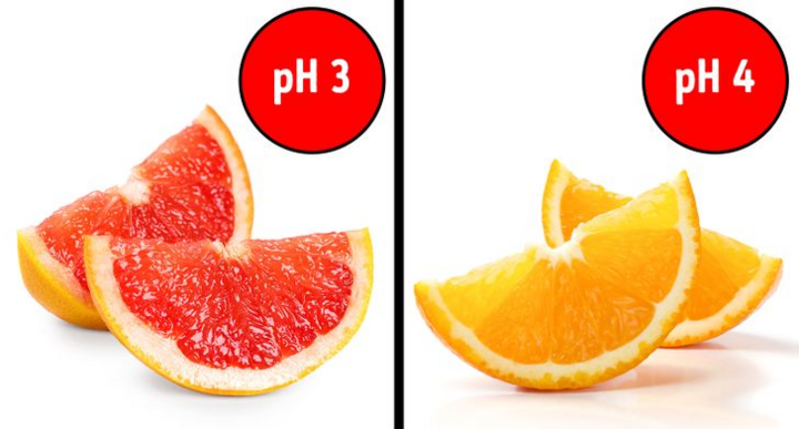 Những thực phẩm có tính axit, ăn nhiều sẽ hại dạ dày - 3