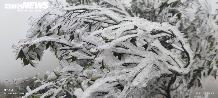 Ảnh: Du khách đổ xô ngắm băng giá kỳ thú ở vùng núi phía Bắc - 22