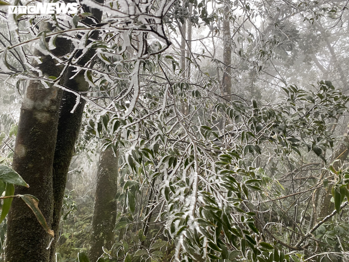 Ảnh: Du khách đổ xô ngắm băng giá kỳ thú ở vùng núi phía Bắc - 13