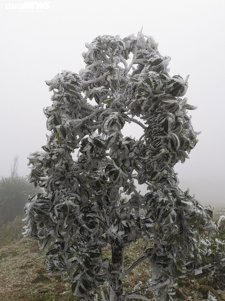 Ảnh: Du khách đổ xô ngắm băng giá kỳ thú ở vùng núi phía Bắc - 14