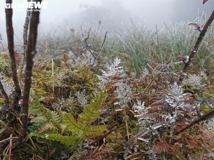 Ảnh: Du khách đổ xô ngắm băng giá kỳ thú ở vùng núi phía Bắc - 15