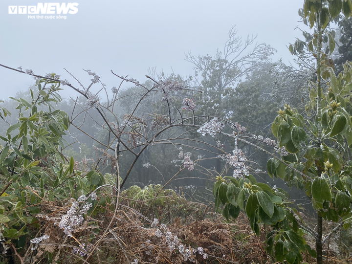 Ảnh: Du khách đổ xô ngắm băng giá kỳ thú ở vùng núi phía Bắc - 16