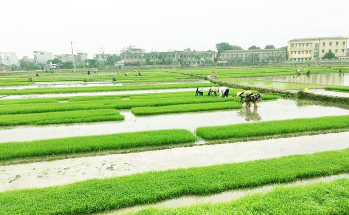 EVN sẵn sàng phục vụ xả nước đổ ải vụ Đông Xuân 2021 - 1