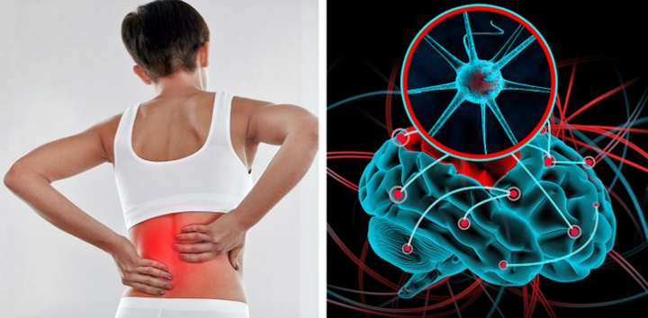 Dấu hiệu cảnh báo cơ thể bạn đang chứa đầy chất độc - 9