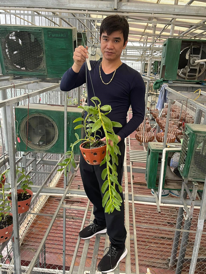 Chủ vườn lan Phạm Ngọc Cảnh: Mỗi chậu lan là một tác phẩm nghệ thuật - 1