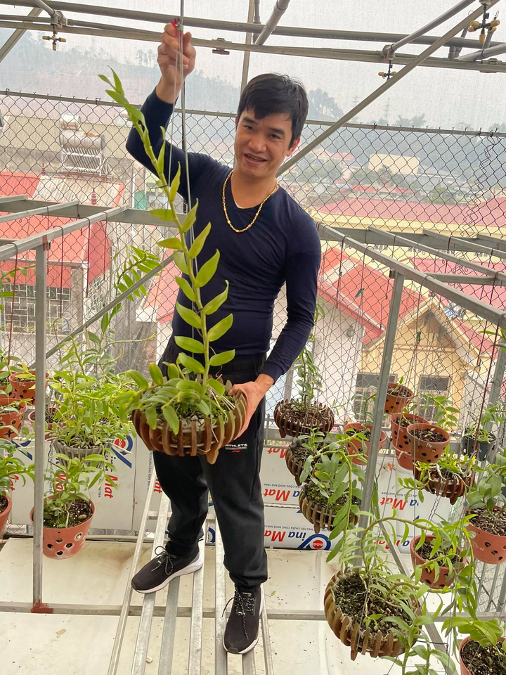 Chủ vườn lan Phạm Ngọc Cảnh: Mỗi chậu lan là một tác phẩm nghệ thuật - 2