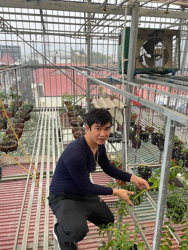 Chủ vườn lan Phạm Ngọc Cảnh: Mỗi chậu lan là một tác phẩm nghệ thuật - 3