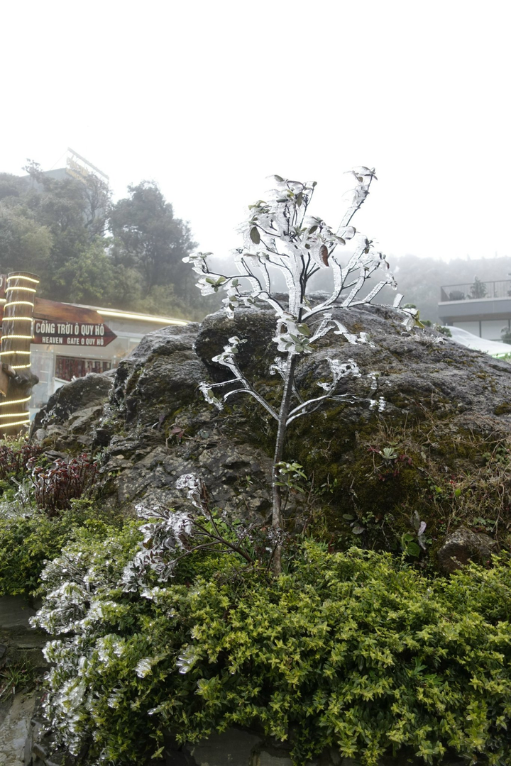 Băng tuyết phủ trắng cổng trời, du khách nườm nượp kéo đến check-in - 7