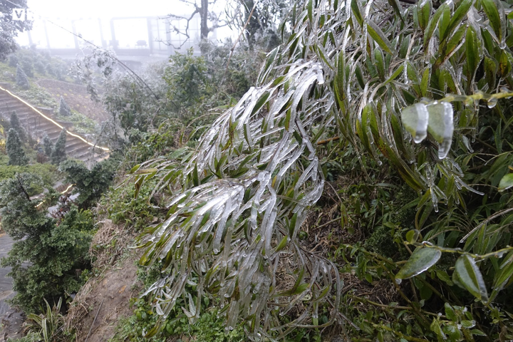 Băng tuyết phủ trắng cổng trời, du khách nườm nượp kéo đến check-in - 8