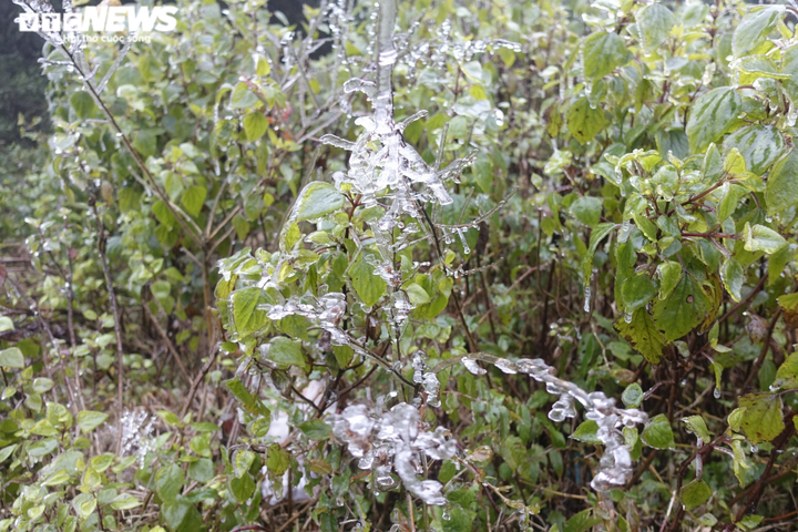 Băng tuyết phủ trắng cổng trời, du khách nườm nượp kéo đến check-in - 13