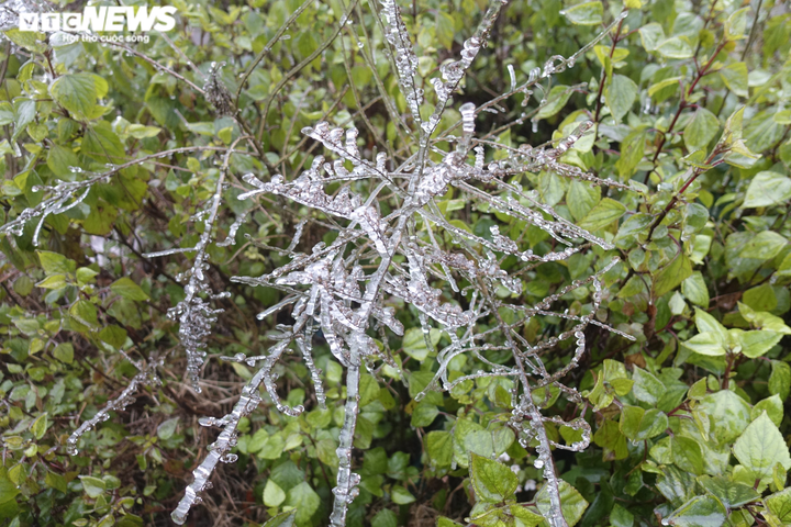 Băng tuyết phủ trắng cổng trời, du khách nườm nượp kéo đến check-in - 9