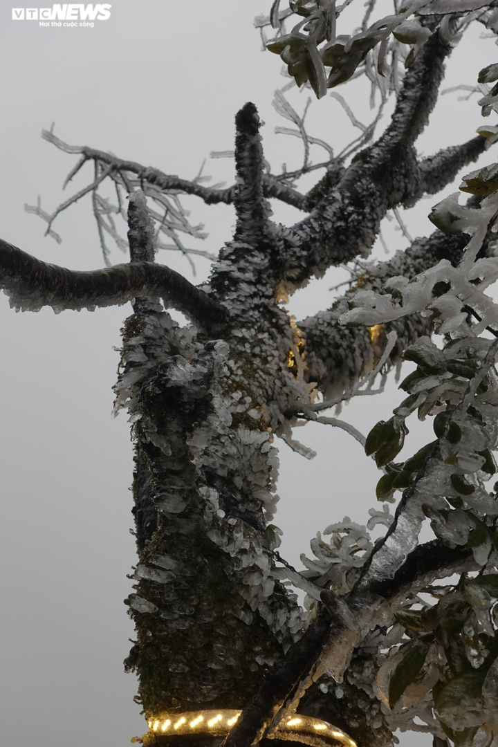 Băng tuyết phủ trắng cổng trời, du khách nườm nượp kéo đến check-in - 3