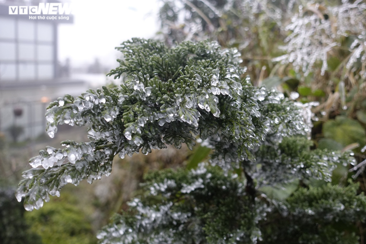 Băng tuyết phủ trắng cổng trời, du khách nườm nượp kéo đến check-in - 12