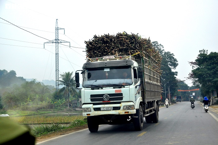 Quốc lộ ở Thanh Hoá ‘oằn mình’ gánh xe tải cơi nới thành thùng chạy ngày đêm - 3
