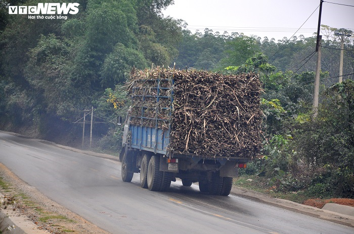Quốc lộ ở Thanh Hoá ‘oằn mình’ gánh xe tải cơi nới thành thùng chạy ngày đêm - 4