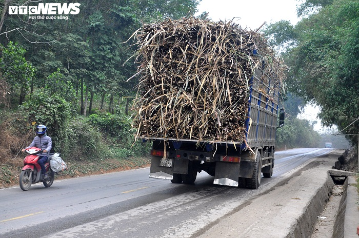 Quốc lộ ở Thanh Hoá ‘oằn mình’ gánh xe tải cơi nới thành thùng chạy ngày đêm - 5