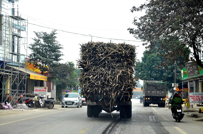 Quốc lộ ở Thanh Hoá ‘oằn mình’ gánh xe tải cơi nới thành thùng chạy ngày đêm - 6