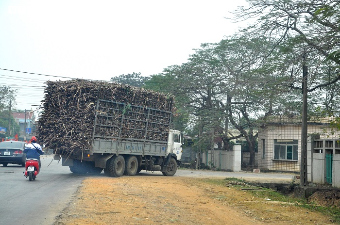 Quốc lộ ở Thanh Hoá ‘oằn mình’ gánh xe tải cơi nới thành thùng chạy ngày đêm - 7