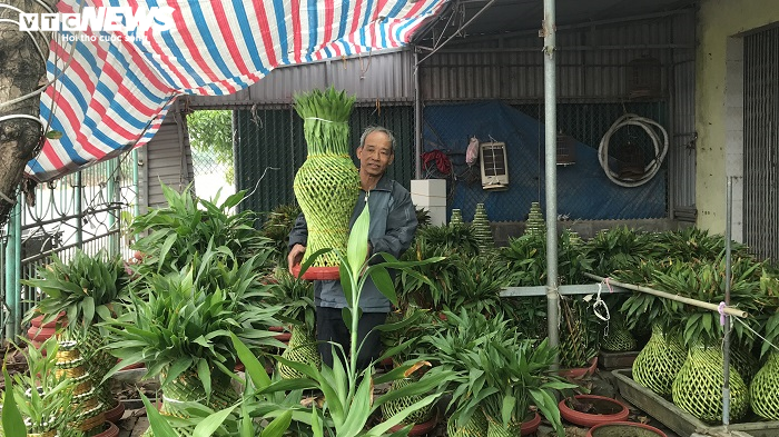 Chế tạo cây phát lộc độc lạ bán ngày Tết, cả làng ở Thái Bình đổi đời - 5