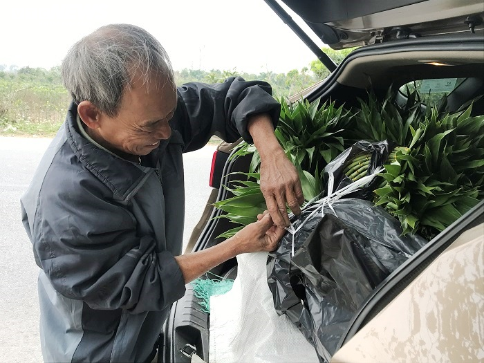 Chế tạo cây phát lộc độc lạ bán ngày Tết, cả làng ở Thái Bình đổi đời - 6
