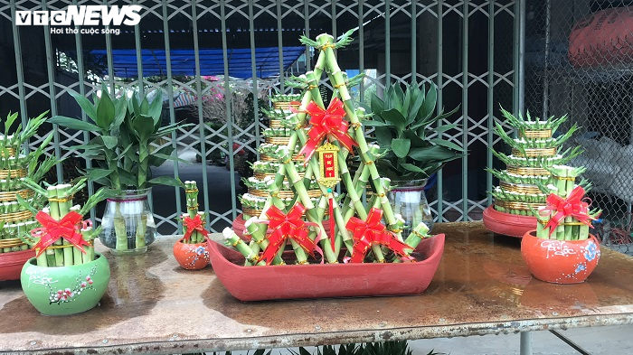 Chế tạo cây phát lộc độc lạ bán ngày Tết, cả làng ở Thái Bình đổi đời - 2