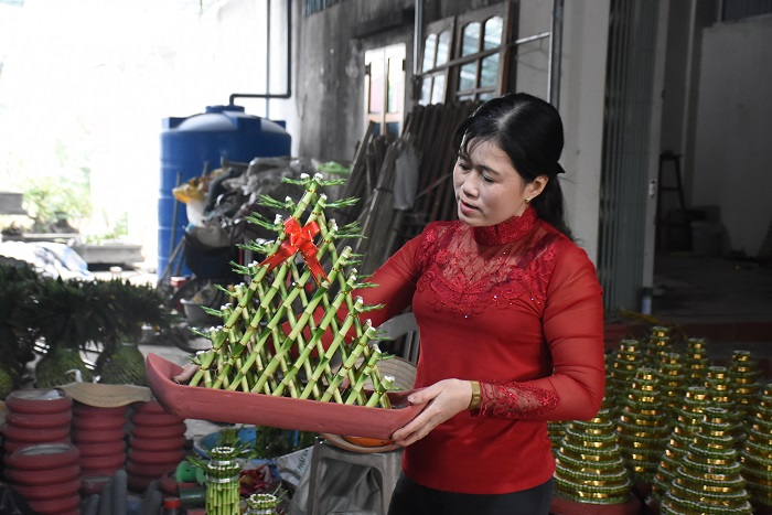 Chế tạo cây phát lộc độc lạ bán ngày Tết, cả làng ở Thái Bình đổi đời - 14
