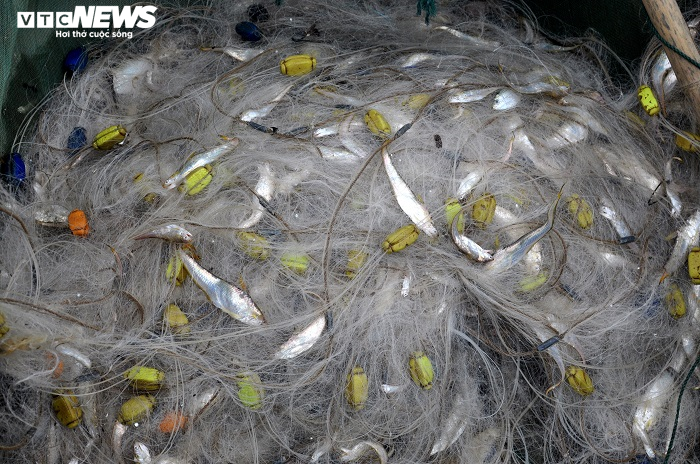 Ảnh: Rét cắt da cắt thịt, ngư dân Thanh Hóa vẫn hồ hởi căng buồm ra khơi - 4