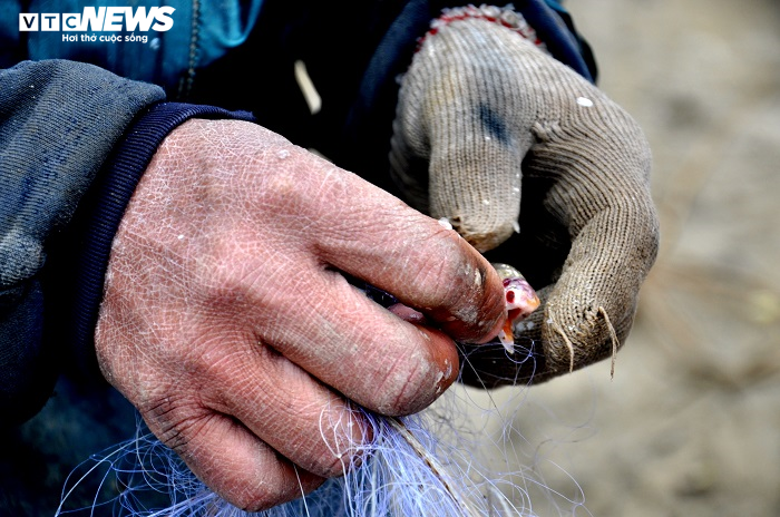 Ảnh: Rét cắt da cắt thịt, ngư dân Thanh Hóa vẫn hồ hởi căng buồm ra khơi - 6