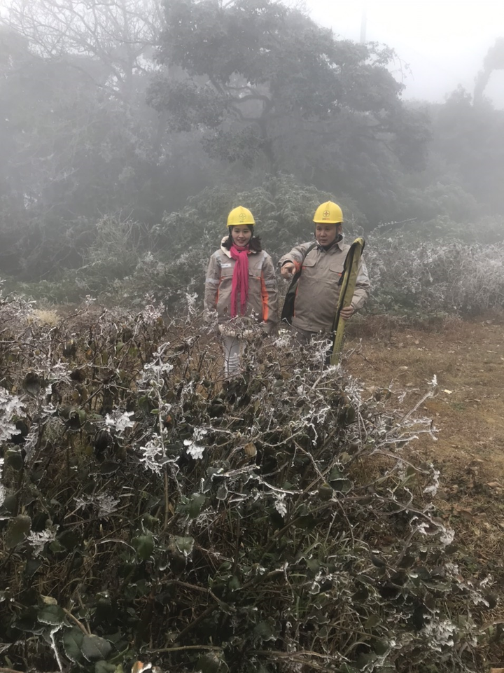 Đảm bảo vận hành điện ổn định tại một số nơi đóng băng ở vùng núi phía Bắc - 10