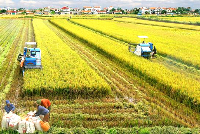 Những đề xuất trước Đại hội Đảng XIII - 3