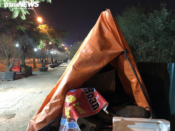 Ảnh: Tiểu thương dựng lều, vạ vật trông đào, quất Tết giữa đêm rét - 2